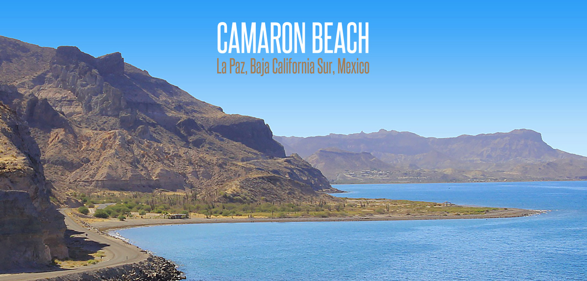 camaron beach la paz