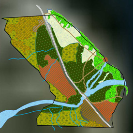 land use and vegetation map