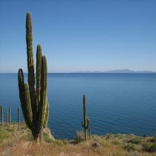 images/sea-of-cortez/soc_001.jpg